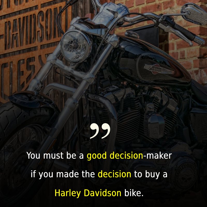 You must be a good decision-maker if you made the decision to buy a Harley Davidson bike.