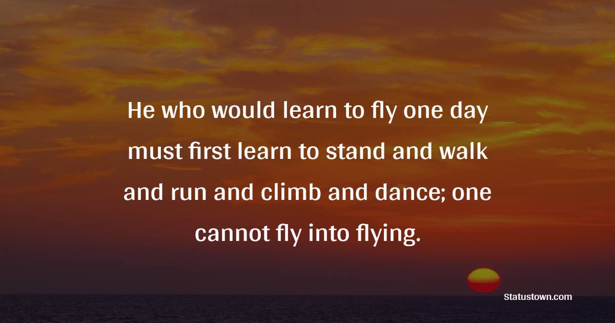 He who would learn to fly one day must first learn to stand and walk and run and climb and dance; one cannot fly into flying.