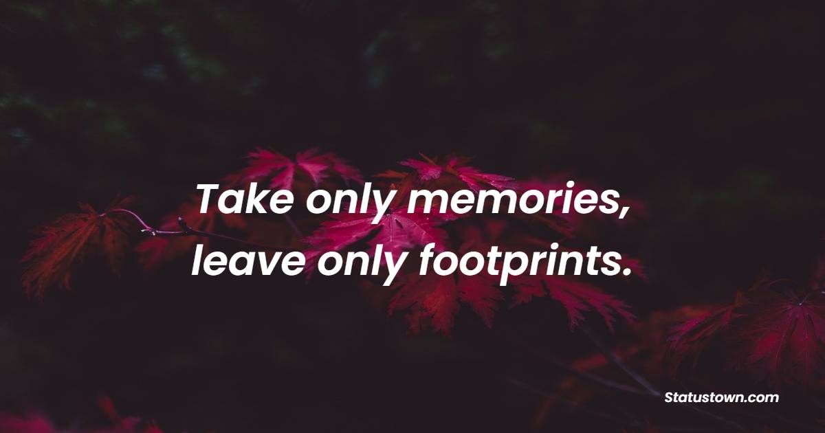 Take only memories, leave only footprints. - Hiking Quotes