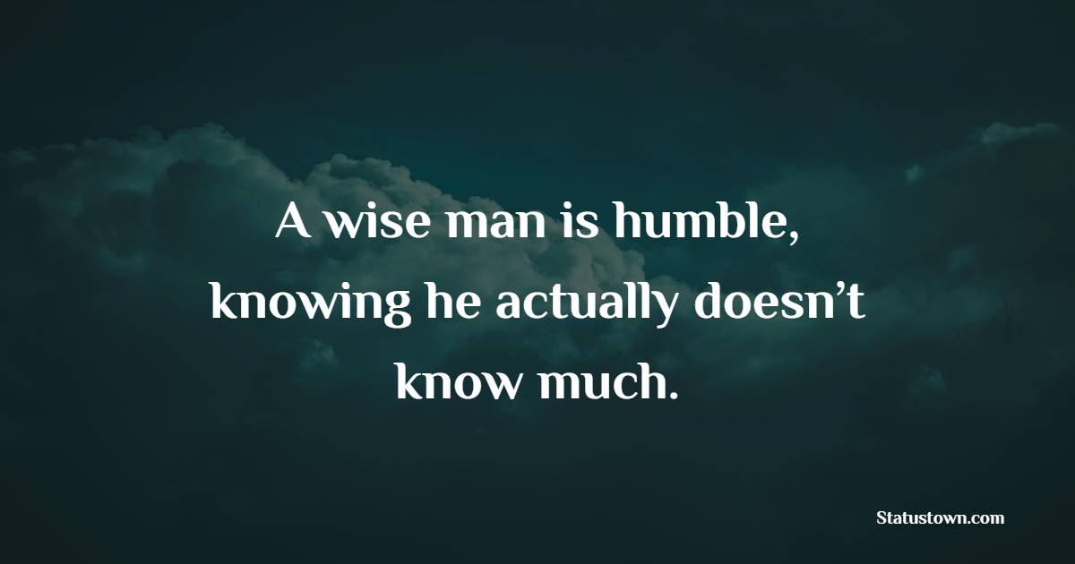 A wise man is humble, knowing he actually doesn’t know much. - Humble Quotes 