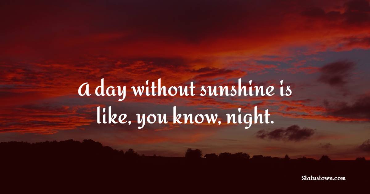 A day without sunshine is like, you know, night. - Humor Quotes