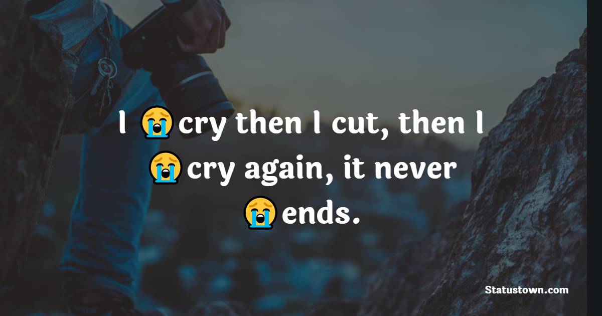 I cry then I cut, then I cry again, it never ends. - hurt status