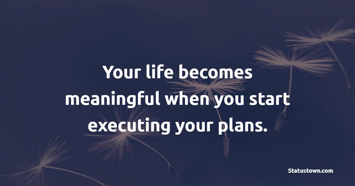Your life becomes meaningful when you start executing your plans.