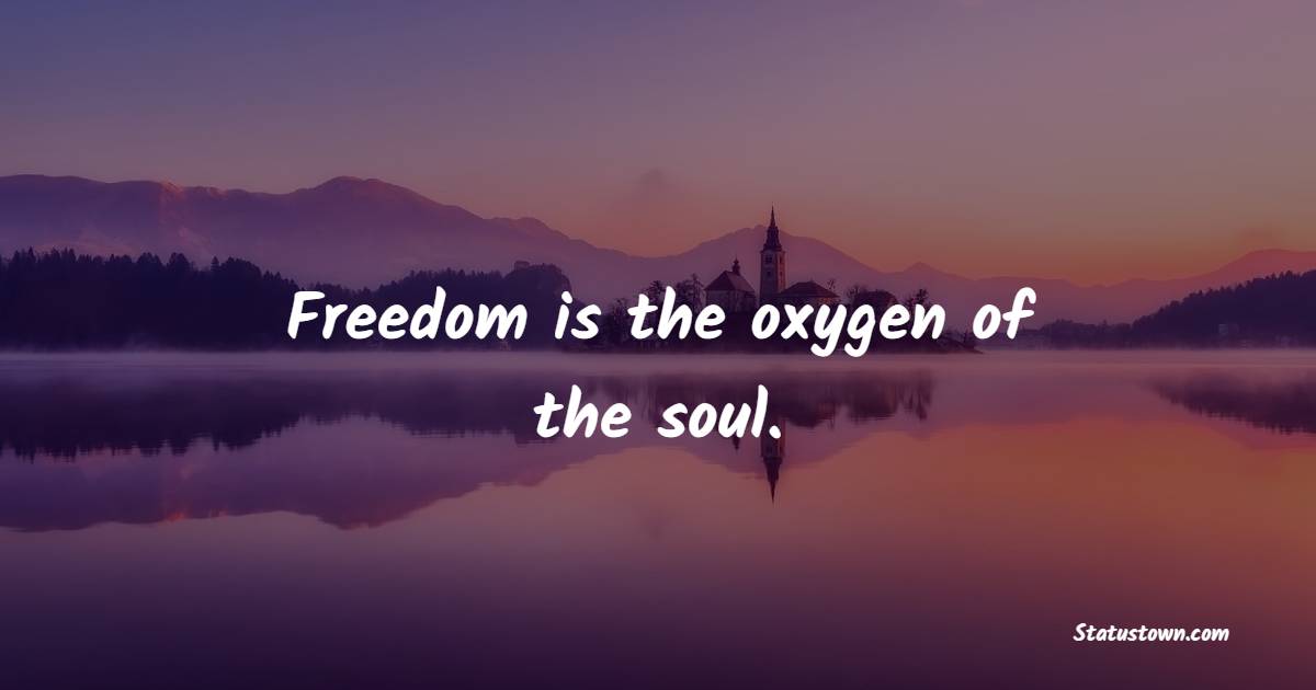 Freedom is the oxygen of the soul. - Independence Quotes 