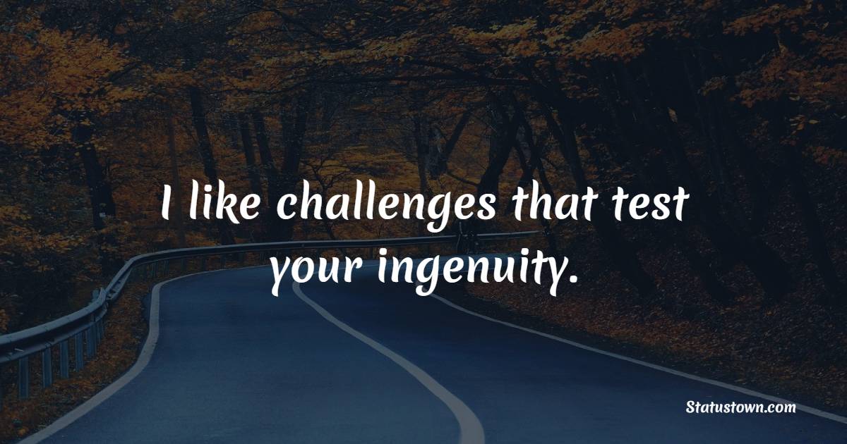 I like challenges that test your ingenuity. - Ingenuity Quotes 