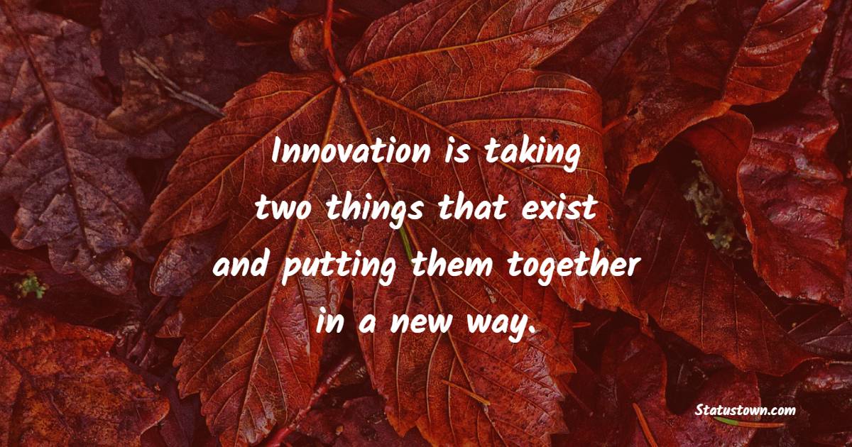 Innovation is taking two things that exist and putting them together in a new way.