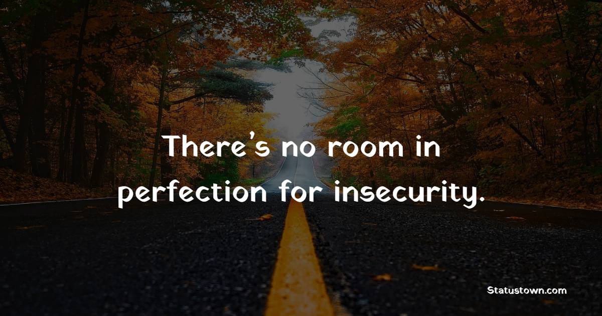 There’s no room in perfection for insecurity. - Insecurity Quotes 
