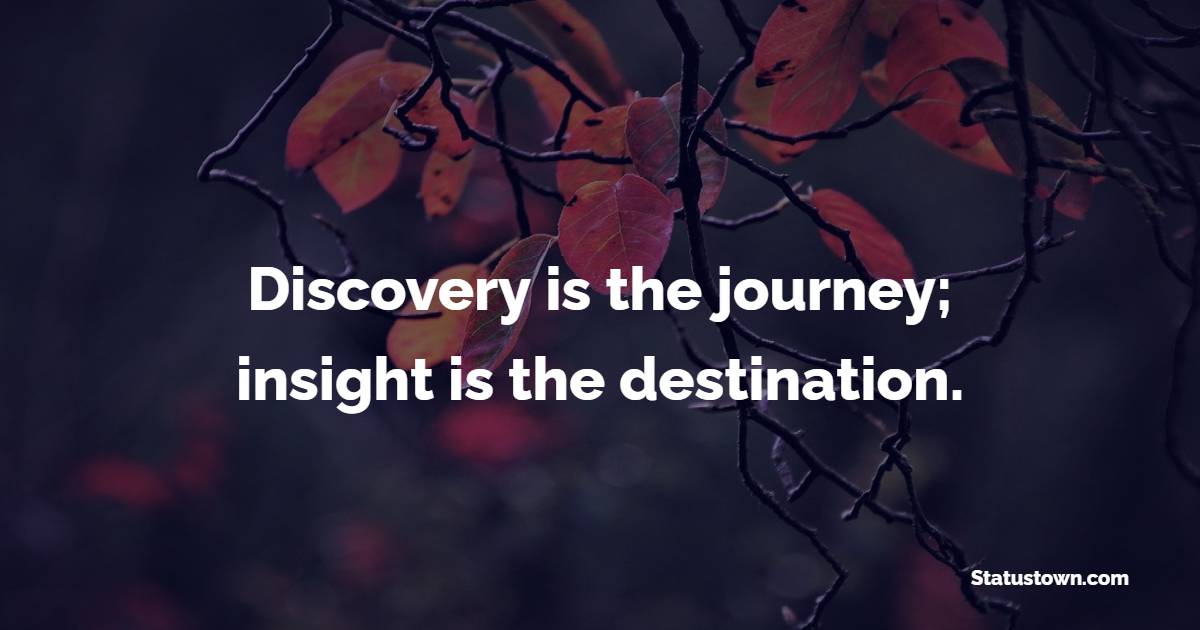 Discovery is the journey; insight is the destination. - Insight Quotes 