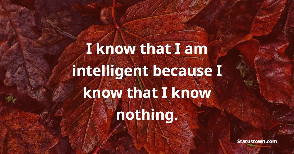 I know that I am intelligent because I know that I know nothing. - Intelligence Quotes 