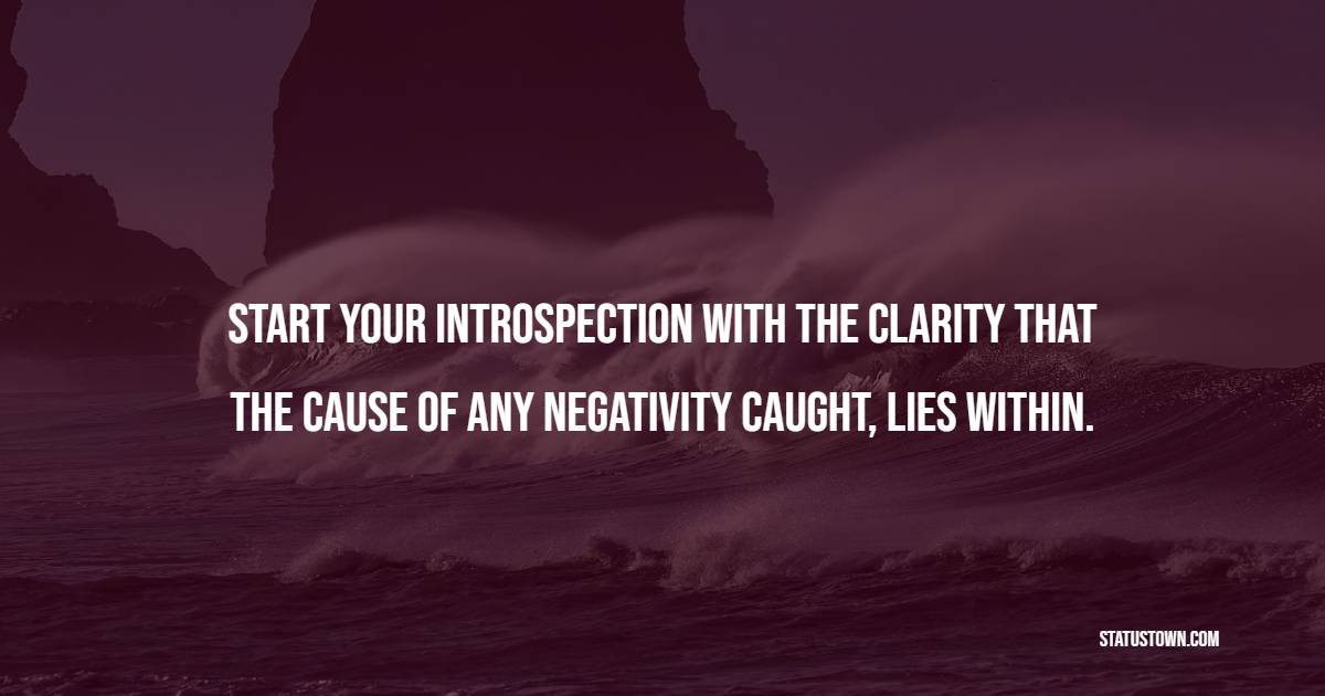 Start your introspection with the clarity that the cause of any negativity caught, lies within. - Introspection Quotes
 