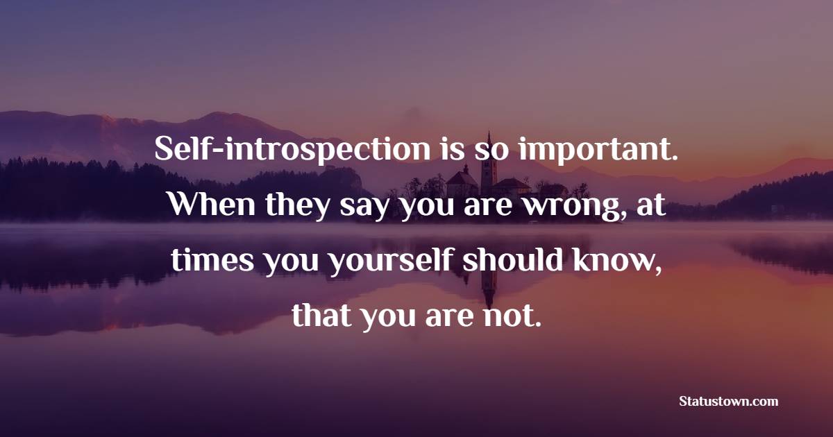 Self-introspection is so important. When they say you are wrong, at times you yourself should know, that you are not. - Introspection Quotes
 