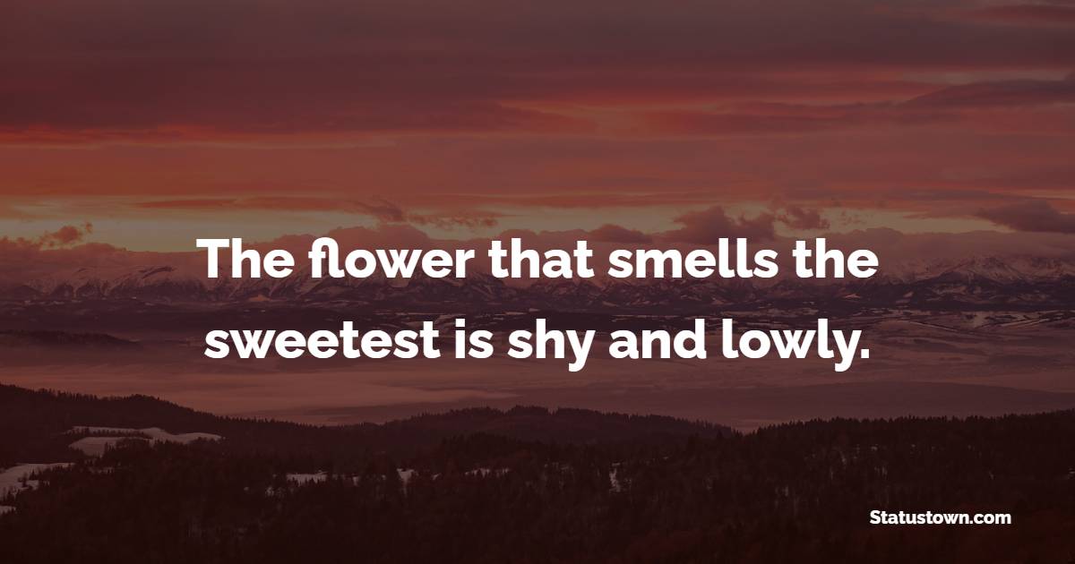 The flower that smells the sweetest is shy and lowly. - Introvert Quotes 