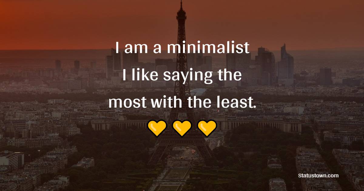 I am a minimalist. I like saying the most with the least. - Introvert Quotes