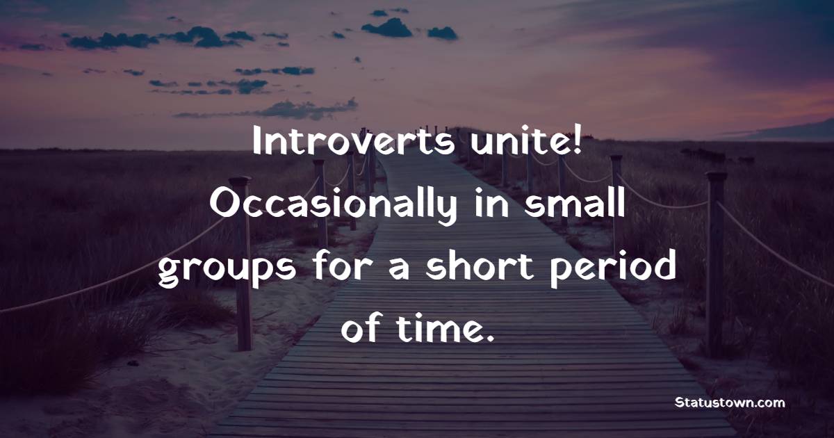 Introverts unite! Occasionally in small groups for a short period of time. - Introvert Quotes 