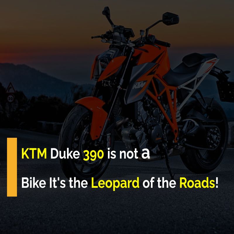 KTM Duke 390 is not a Bike It's the Leopard of the Roads!