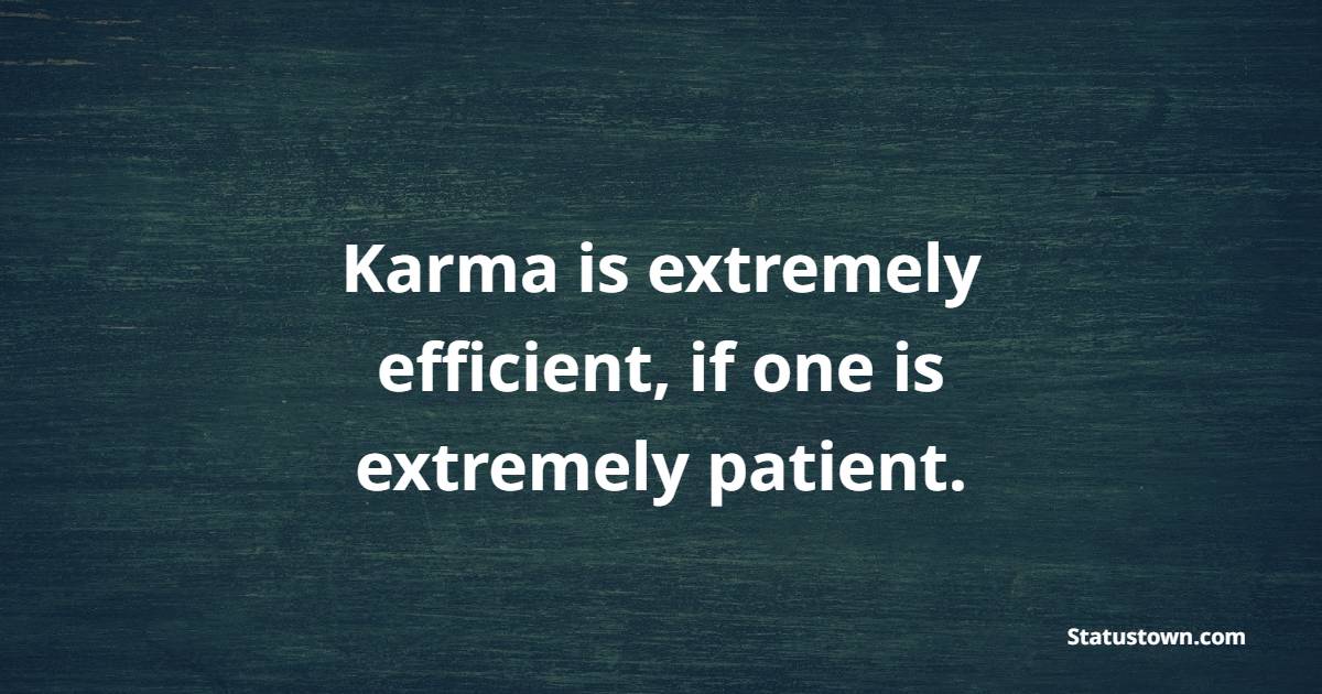 Karma is extremely efficient, if one is extremely patient.