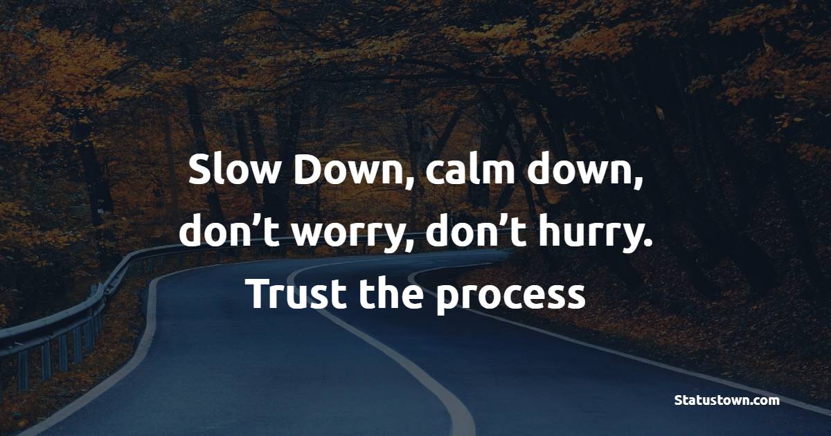 Slow Down, calm down, don’t worry, don’t hurry. Trust the process - Keep Calm Quotes
