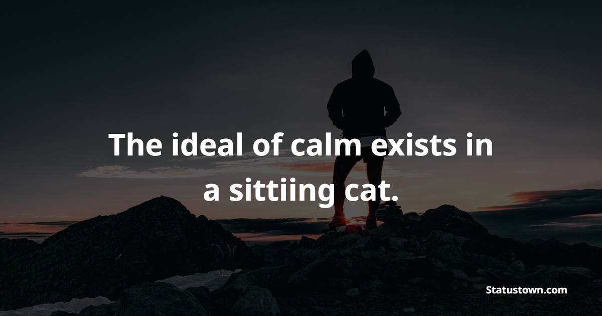 The ideal of calm exists in a sittiing cat. - Keep Calm Quotes