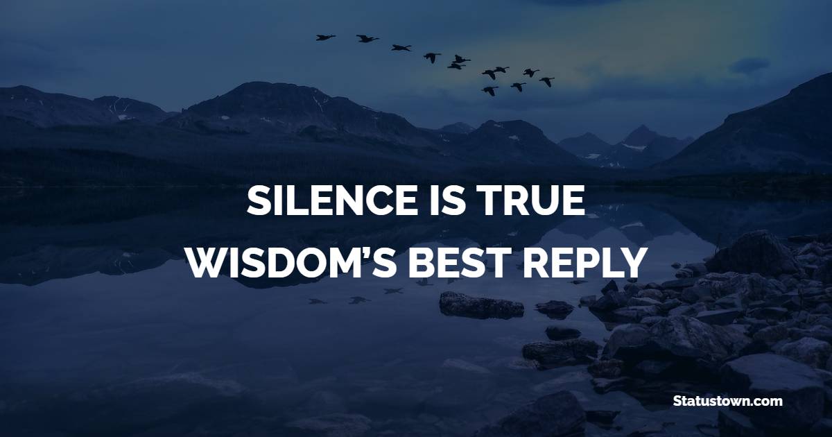SILENCE IS TRUE WISDOM’S BEST REPLY - Keep Calm Quotes 