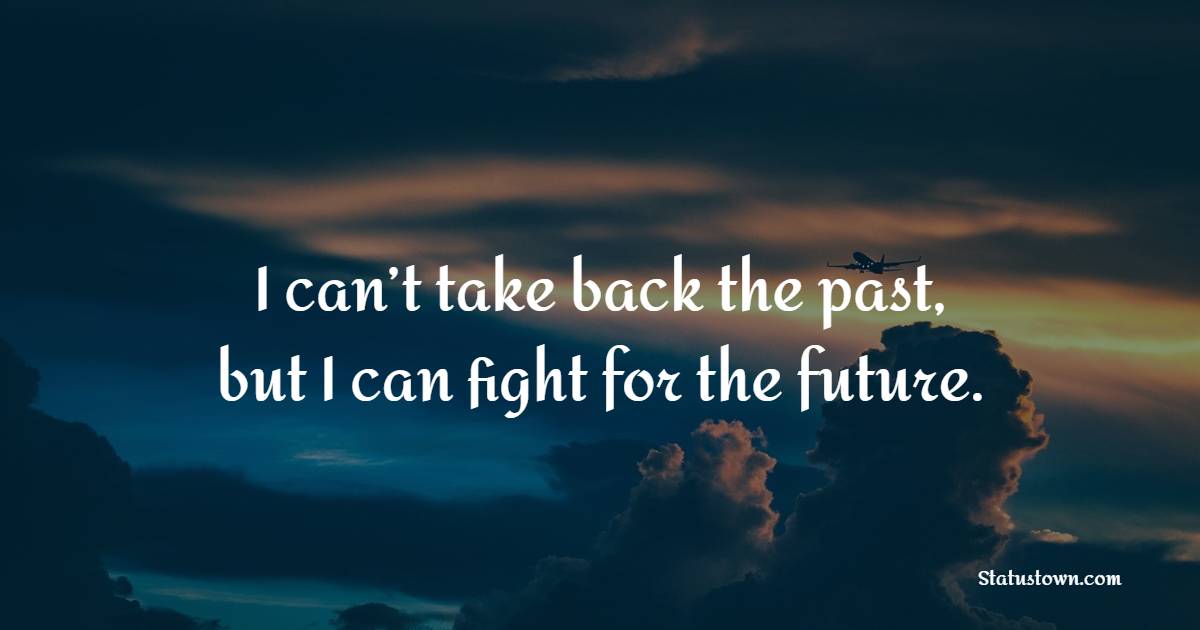 I can’t take back the past, but I can fight for the future. - Keep Moving Forward Quotes