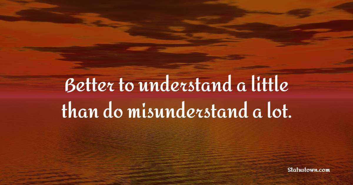 Better to understand a little than do misunderstand a lot. - Knowledge Quotes 