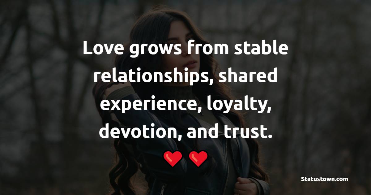 Love grows from stable relationships, shared experience, loyalty, devotion, and trust.