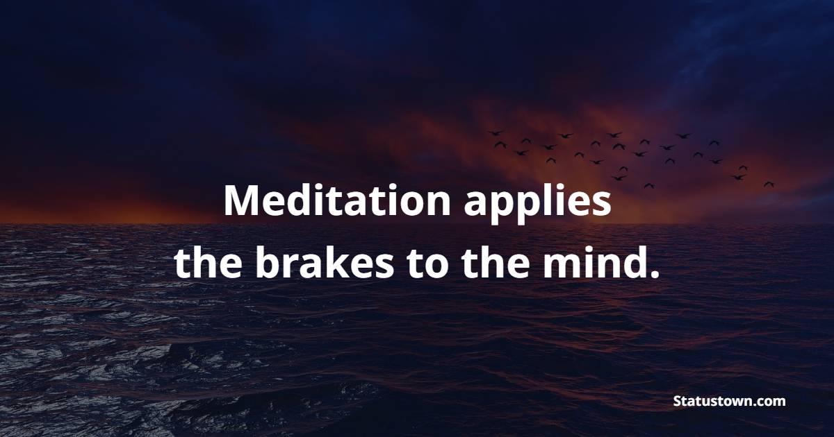 Meditation applies the brakes to the mind. - Meditation Quotes 