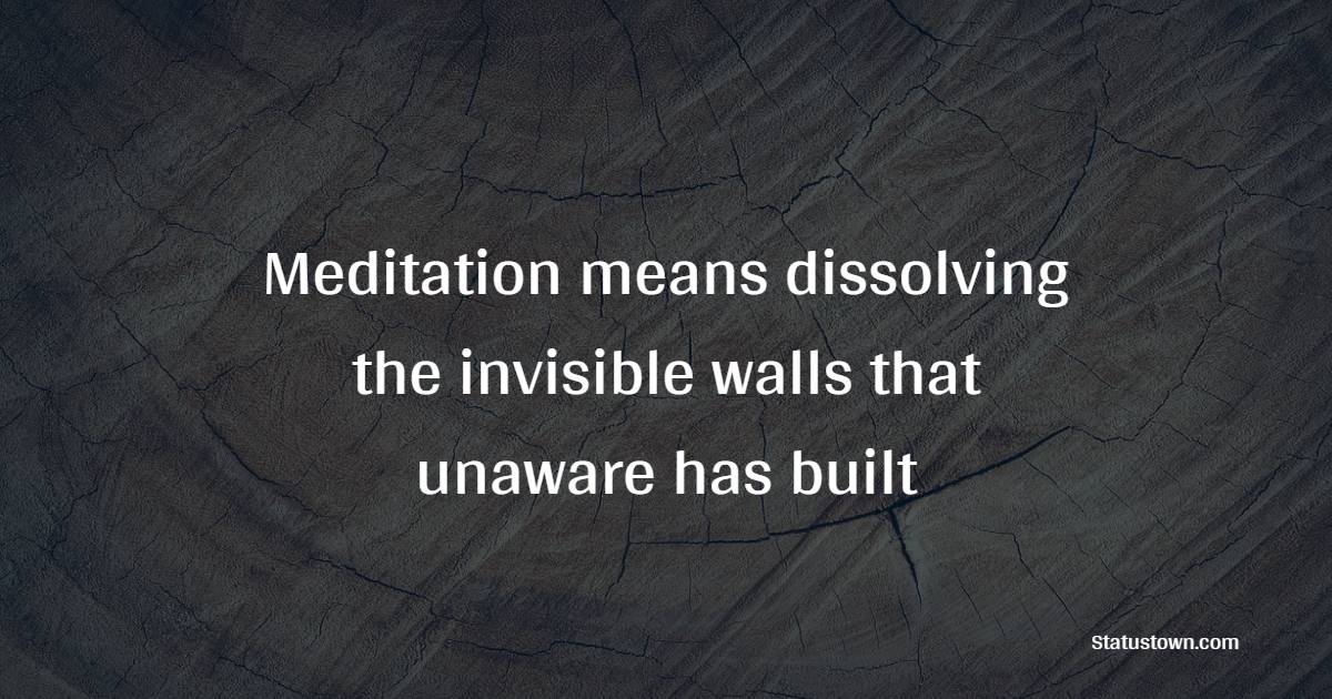 Meditation means dissolving the invisible walls that unaware has built