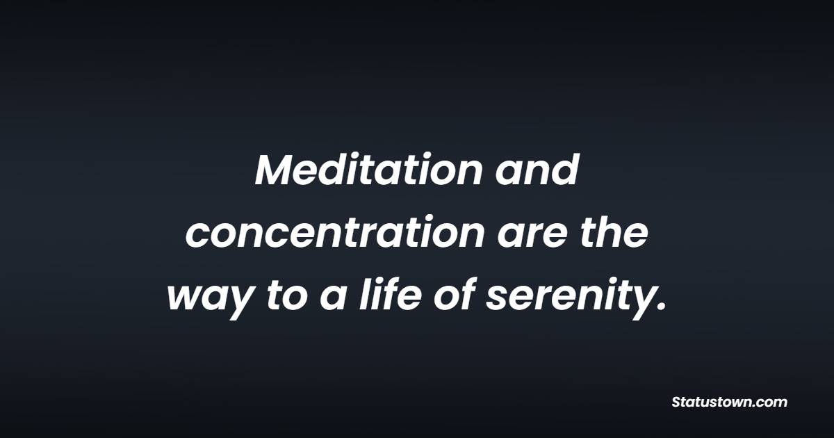 Meditation and concentration are the way to a life of serenity.