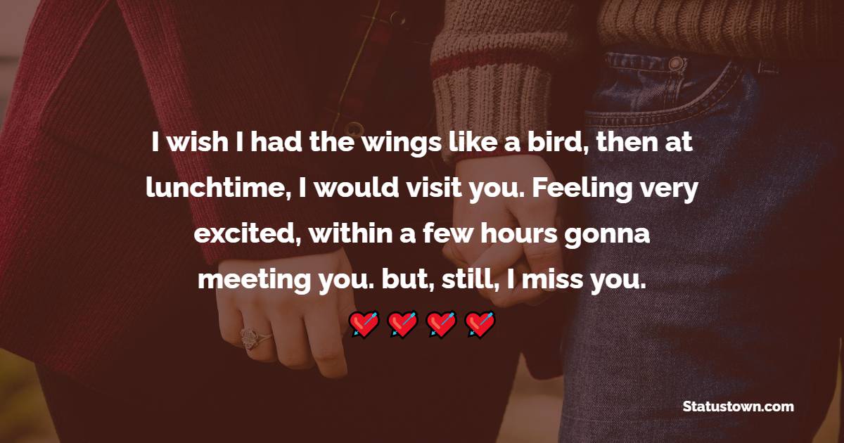 I wish I had the wings like a bird, then at lunchtime, I would visit you. Feeling very excited, within a few hours gonna meeting you. but, still, I miss you.