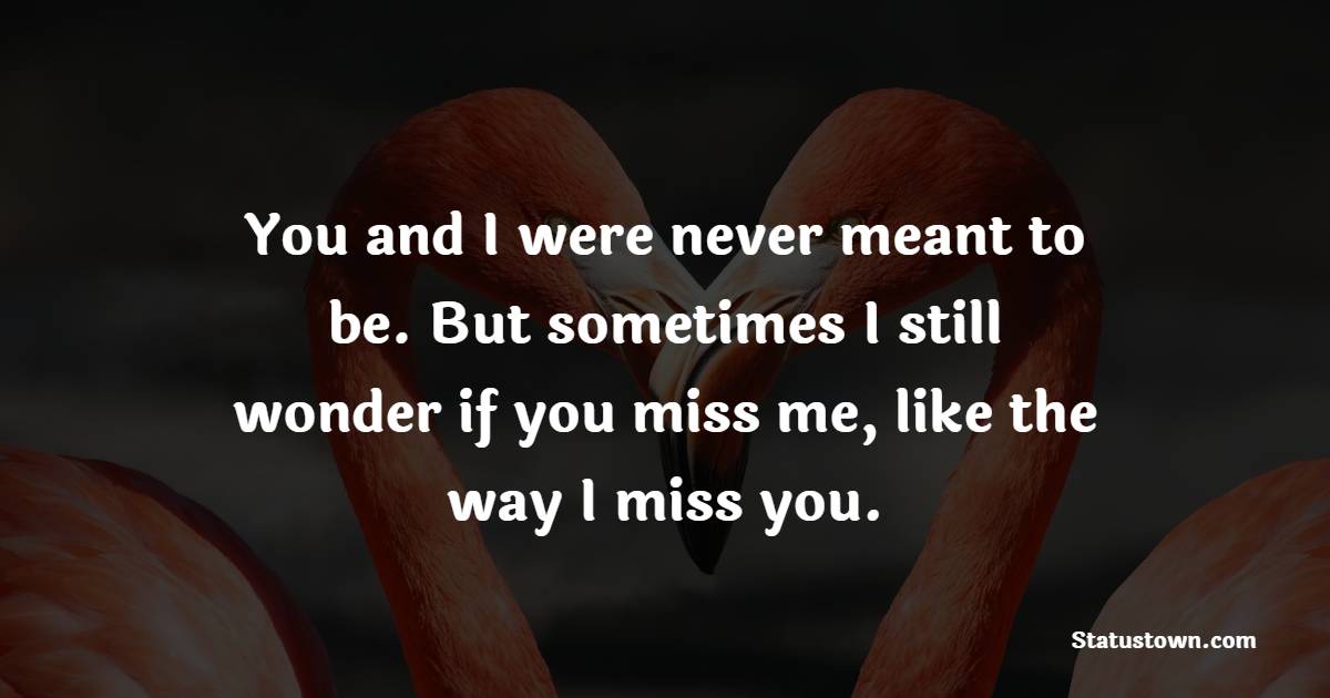 You and I were never meant to be. But sometimes I still wonder if you miss me, like the way I miss you. - Miss You Status for Ex-Boyfriend