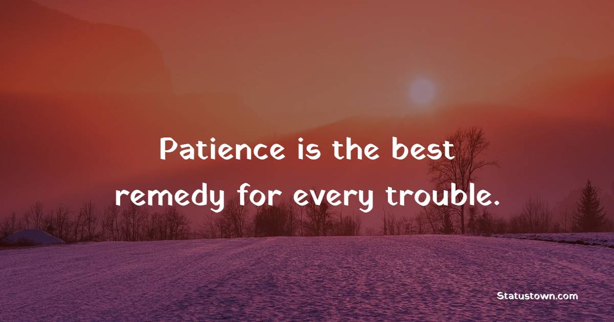 Patience is the best remedy for every trouble.