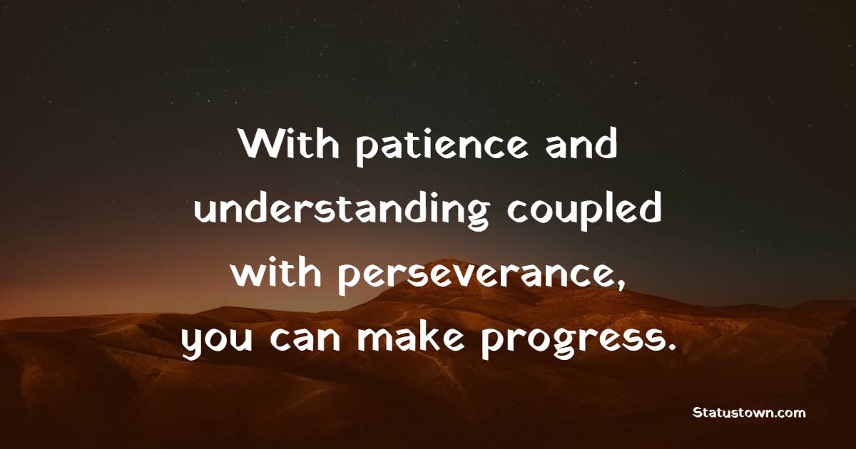 With patience and understanding coupled with perseverance, you can make progress. - Patience Quotes