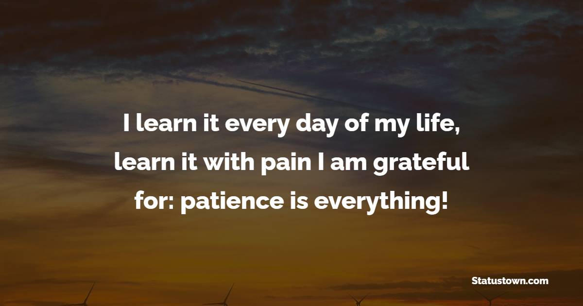 I learn it every day of my life, learn it with pain I am grateful for: patience is everything! - Patience Quotes
