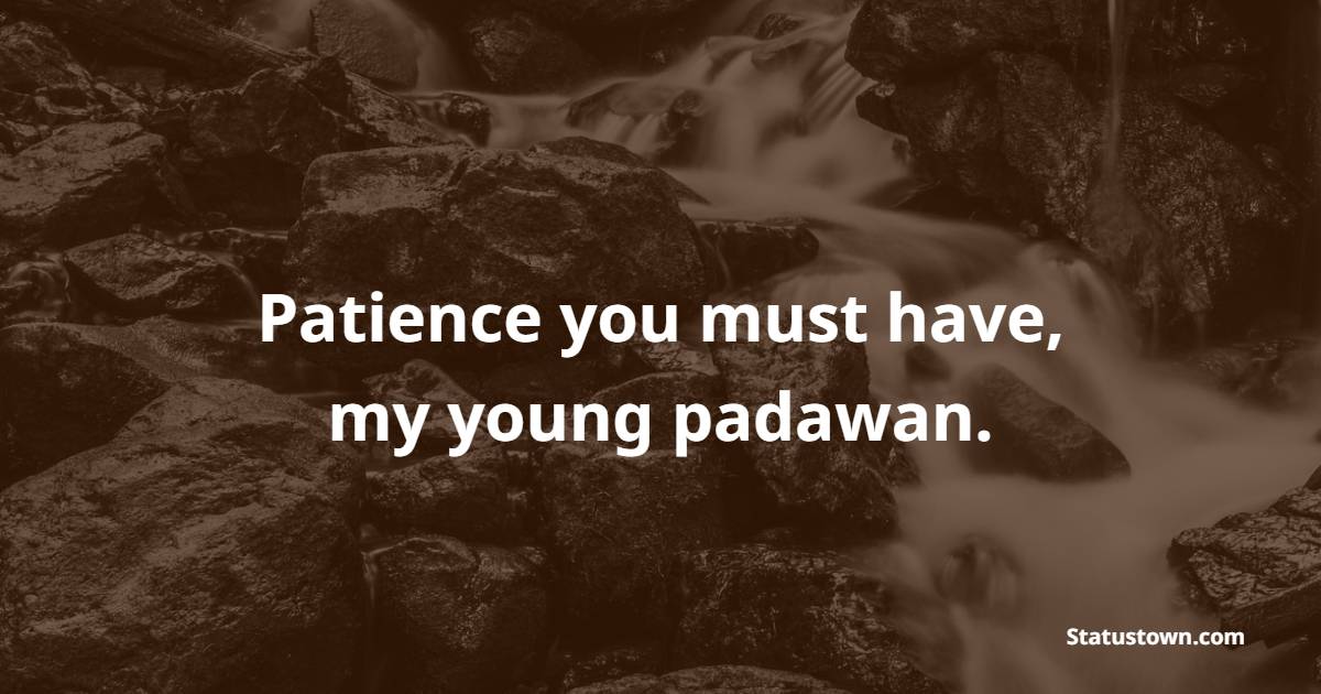 Patience you must have, my young padawan. - Patience Quotes