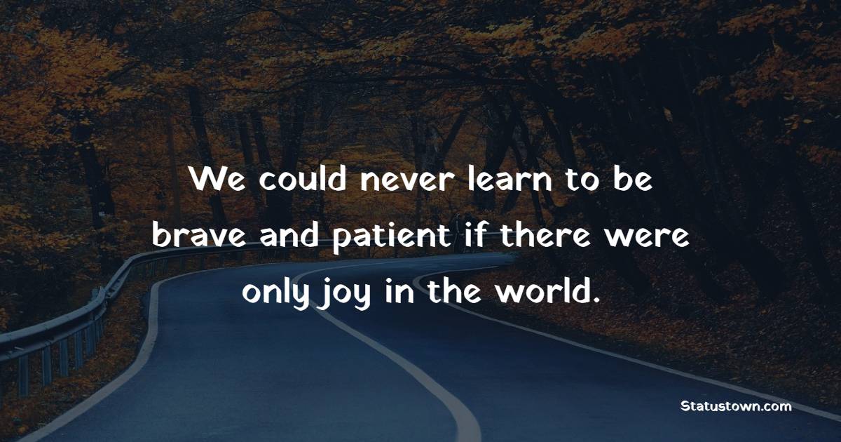 We could never learn to be brave and patient if there were only joy in the world. - Patience Quotes
