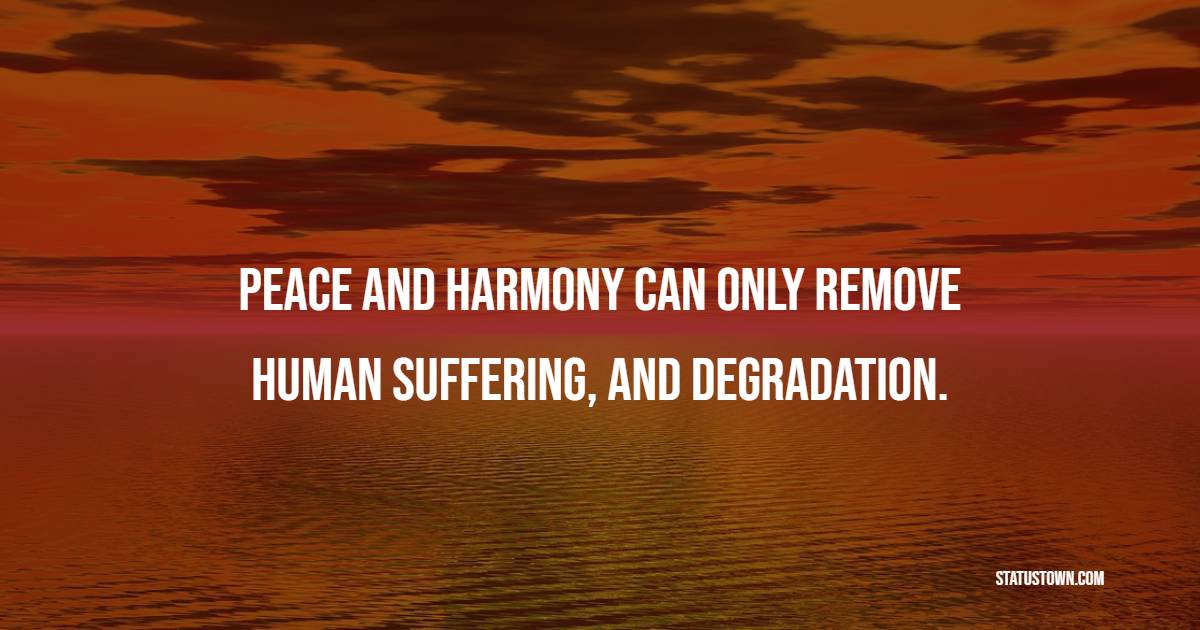 Peace and harmony can only remove human suffering, and degradation. - Peace Quotes