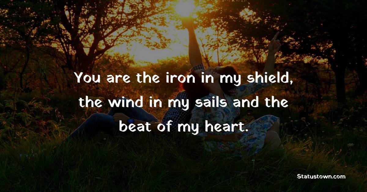 You are the iron in my shield, the wind in my sails and the beat of my heart. - Romantic Messages for Girlfriend 