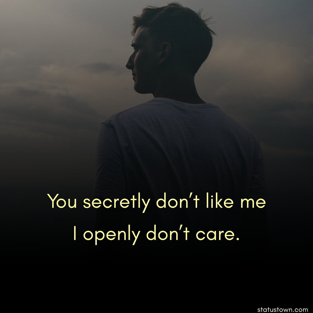 You Secretly Don t Like Me I Openly Don t Care Short Attitude Status