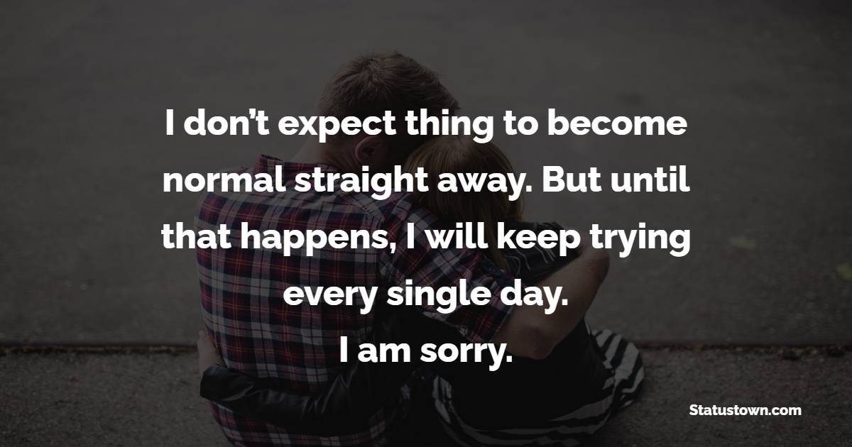 I don’t expect thing to become normal straight away. But until that happens, I will keep trying every single day. I am sorry. - Sorry Messages For Boyfriend