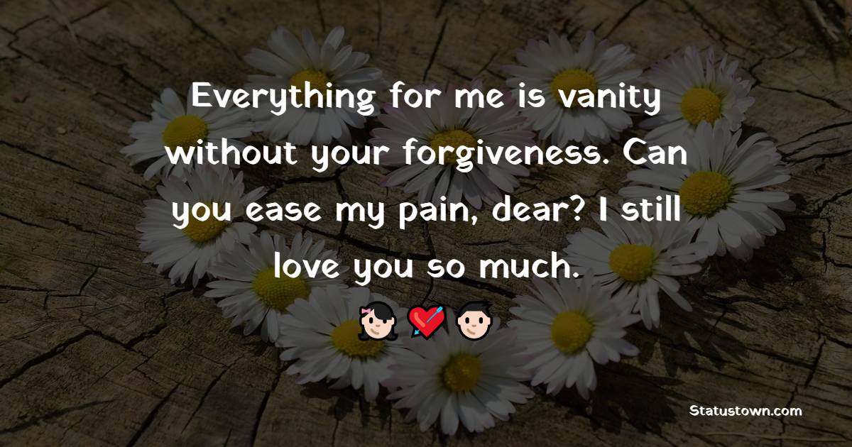 Everything for me is vanity without your forgiveness. Can you ease my pain, dear? I still love you so much. - Sorry Messages For Boyfriend