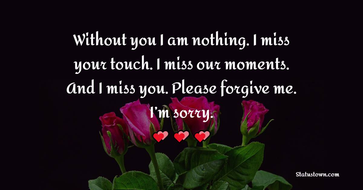 Without you I am nothing. I miss your touch. I miss our moments. And I miss you. Please forgive me. I’m sorry. - Sorry Messages For Boyfriend