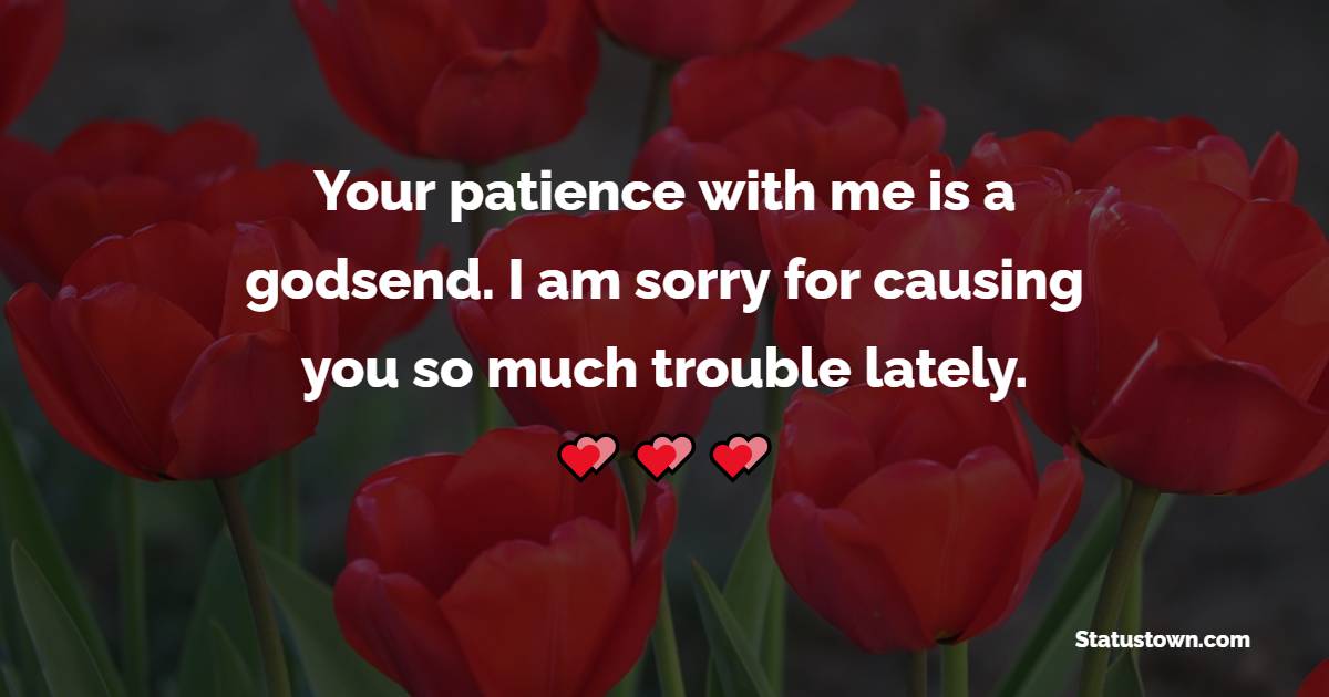 Your patience with me is a godsend. I am sorry for causing you so much trouble lately.