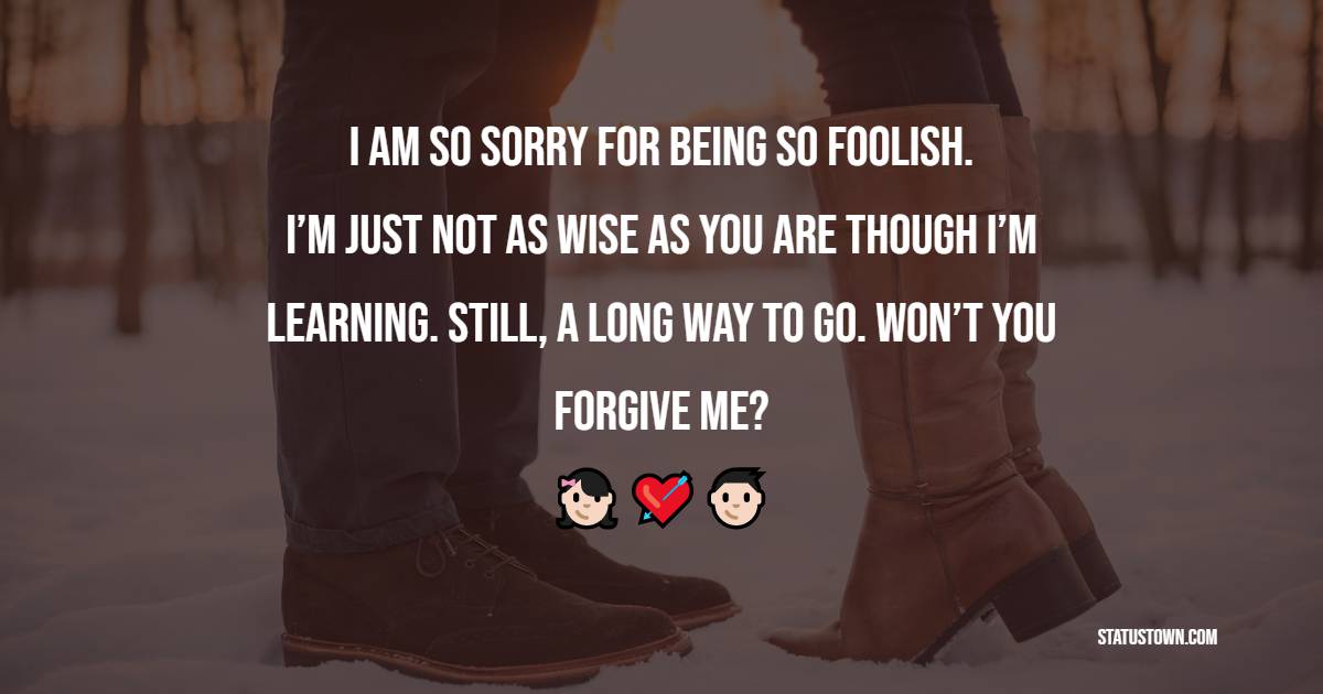 I am so sorry for being so foolish. I’m just not as wise as you are though I’m learning. Still, a long way to go. Won’t you forgive me? - Sorry Messages For Husband