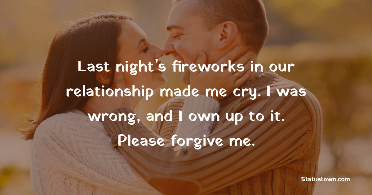 Last night’s fireworks in our relationship made me cry. I was wrong, and I own up to it. Please forgive me.