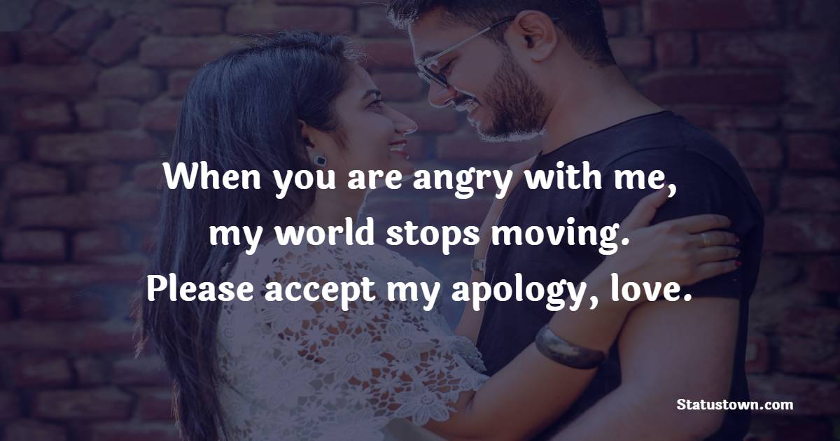 When you are angry with me, my world stops moving. Please accept my apology, love. - Sorry Messages For Wife