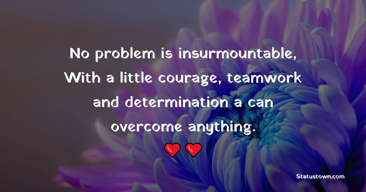 No problem is insurmountable, With a little courage, teamwork and determination a can overcome anything.