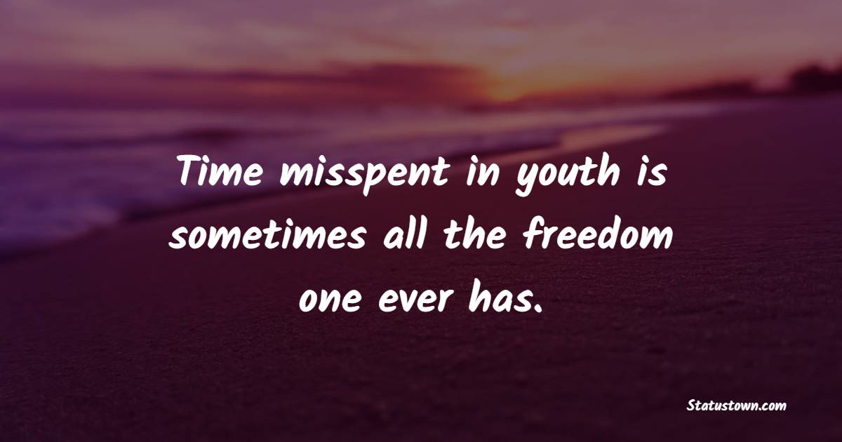 Time misspent in youth is sometimes all the freedom one ever has. - Teenage Quotes