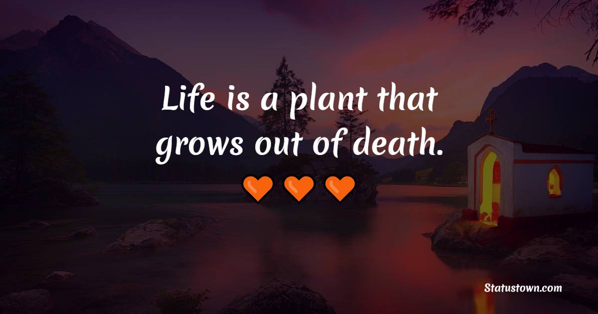 Life is a plant that grows out of death.