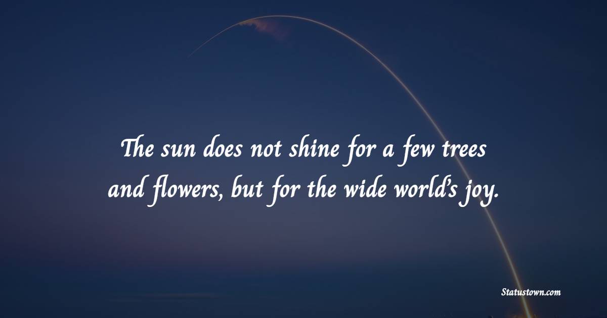 The sun does not shine for a few trees and flowers, but for the wide world’s joy.